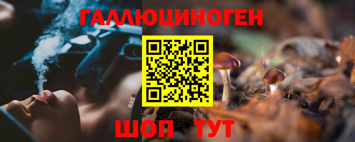 Псилоцибиновые грибы GOLDEN TEACHER  Вход с VPN  Верхний Уфалей  Галлюциногенные грибы MAGIC MUSHROOMS 